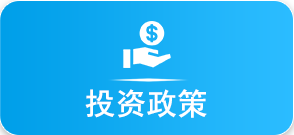 投资政策