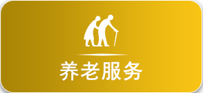 养老服务